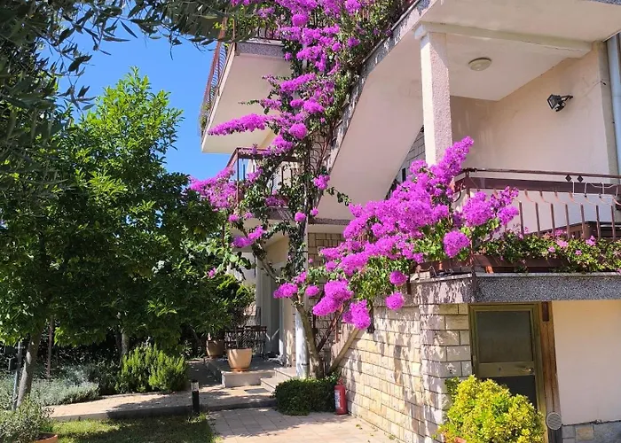 Apartments Lirio
