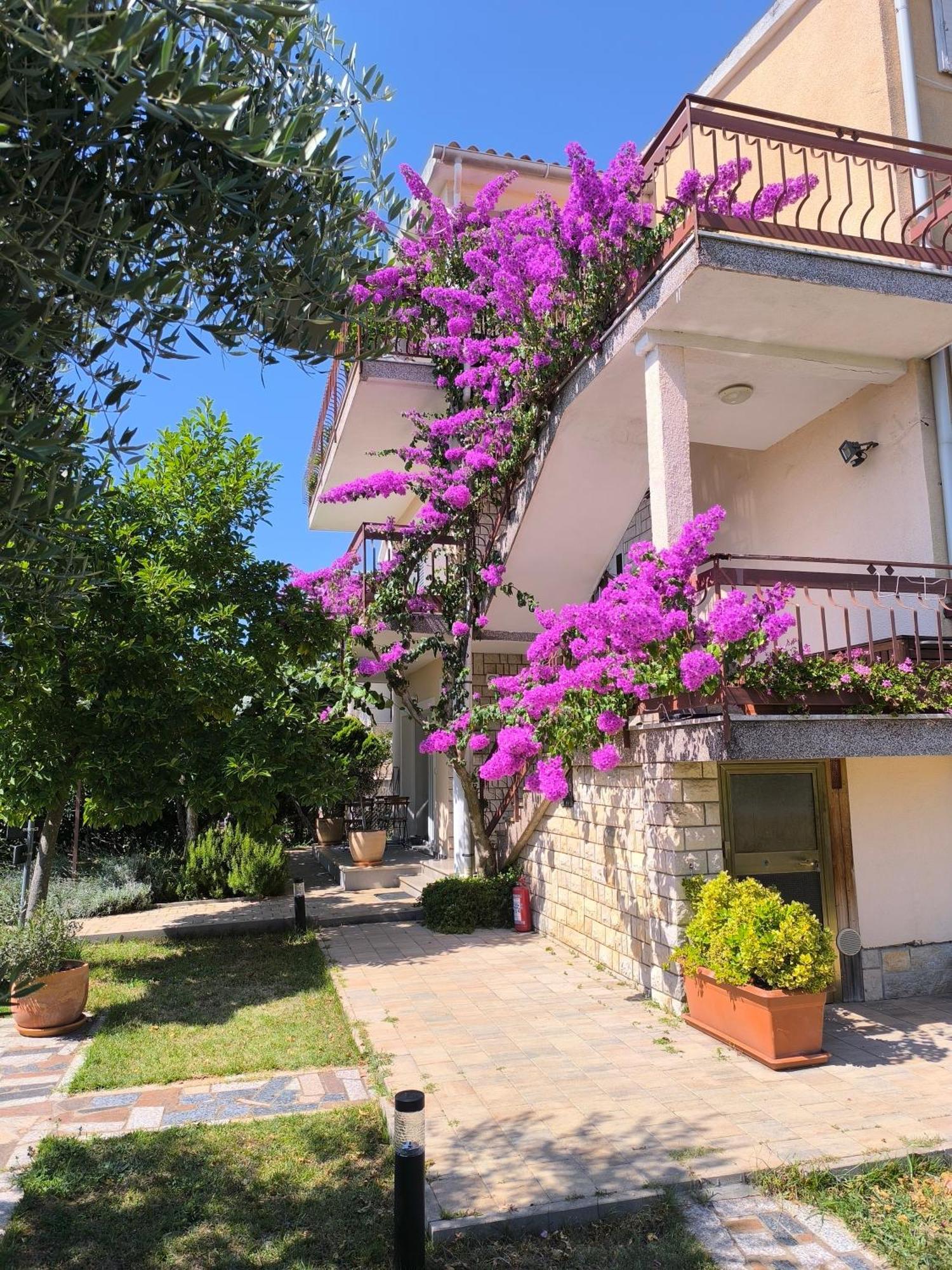 Lirio Apartament