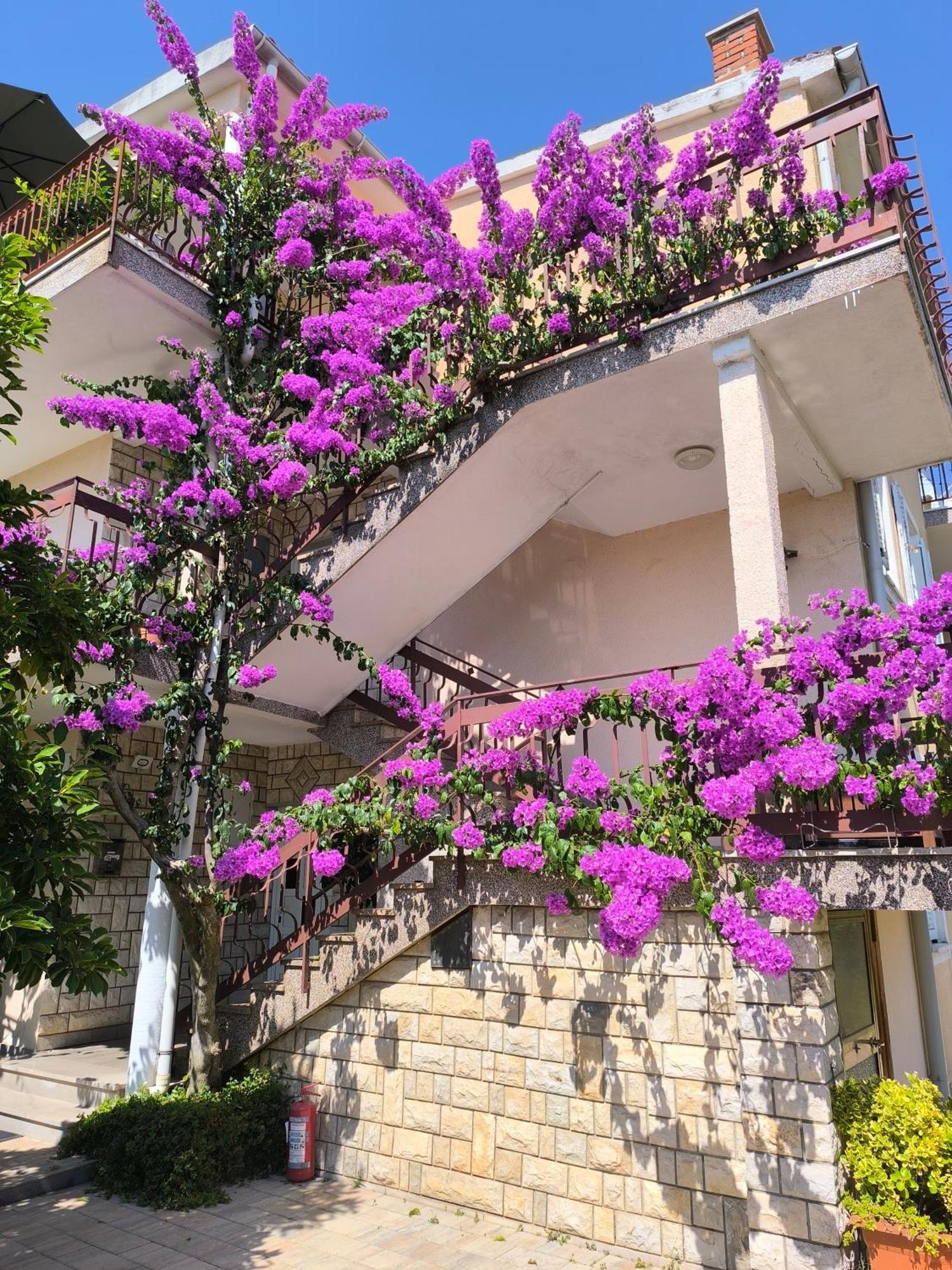 Lirio Apartament *